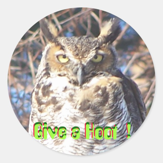 jan112009 009, Give a Hoot !, Give a Hoot !, ... Runder Aufkleber (Vorderseite)