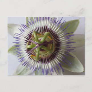 Jan 1 - Erziehungsbrainfart Postkarte