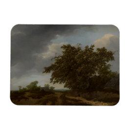 Jan Vermeer, Landschaft am Rande der Dünen Magnet