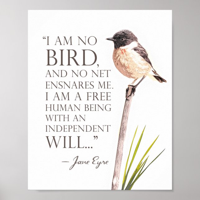 Jane Eyre - I Am No Bird - Brown Bird Poster (Vorne)