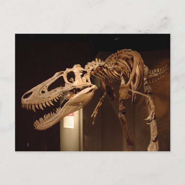 Jane - View #6 Postkarte (Vorderseite)