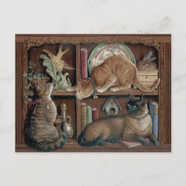 Janet Kruskamp Katzen auf der Bücherregale Postkre Postkarte (Vorderseite)