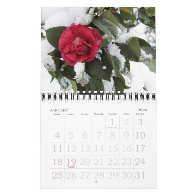 Janette's Garden 2012 Kalender (Jan 2026)