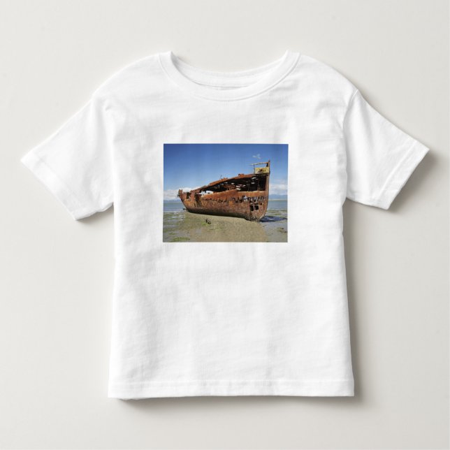 Janie Seddon Shipwreck, Motueka, Nelson Kleinkind T-shirt (Vorderseite)