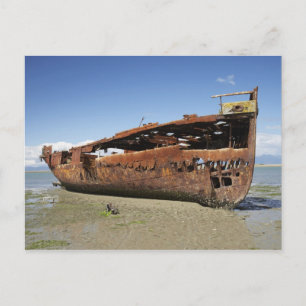 Janie Seddon Shipwreck, Motueka, Nelson Postkarte