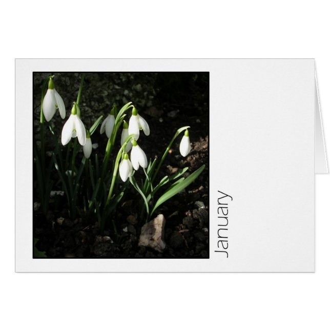 Januar (Vorderseite (Horizontal))