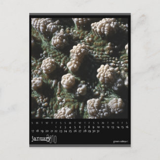 Januar 2010 Kalender Postkarte