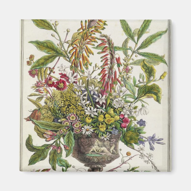 Januar, ab 12 Monaten der Blume Magnet (Vorne)