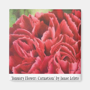 "Januar-Blume: Gartennelke " Magnet