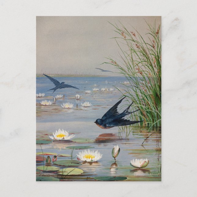 Januar | Fidelia Bridges Postkarte (Vorderseite)