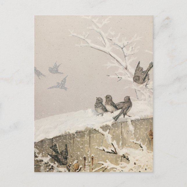 Januar II | Fidelia Bridges Postkarte (Vorderseite)