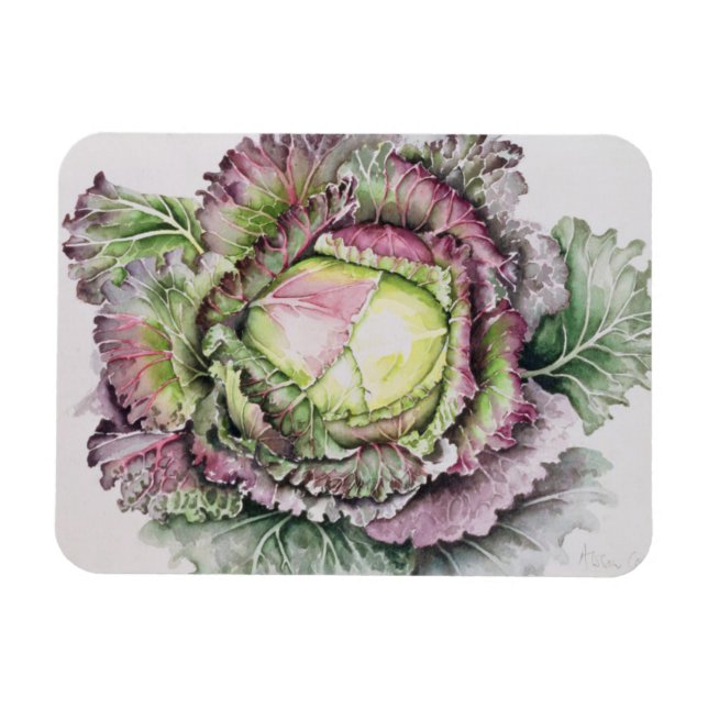 Januar King Cabbage Magnet (Horizontal)