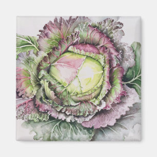 Januar-König Cabbage Magnet