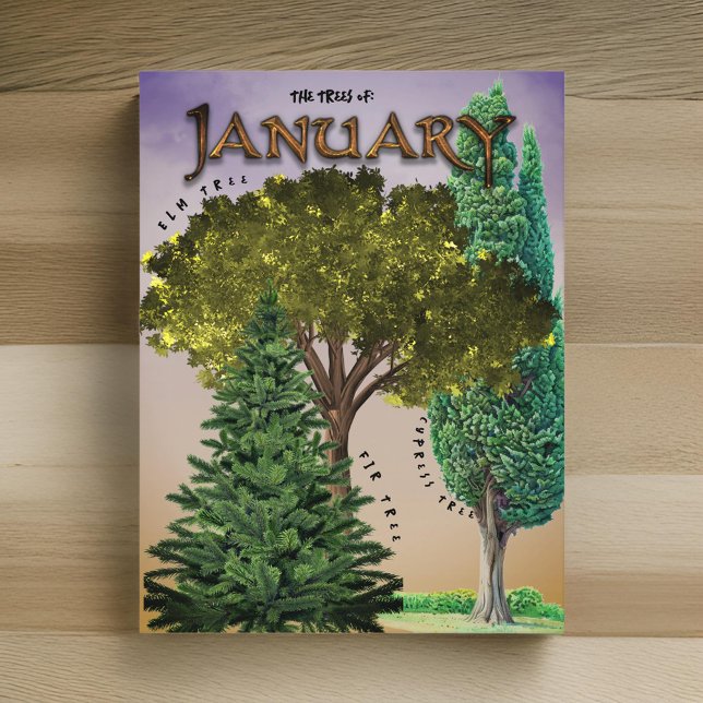 Januar Month Trees Elm Fir Cypress Postkarte (Von Creator hochgeladen)