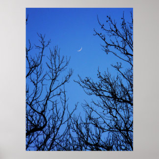 Januar Moon Poster
