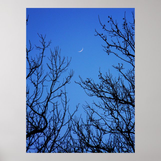 Januar Moon Poster (Vorne)