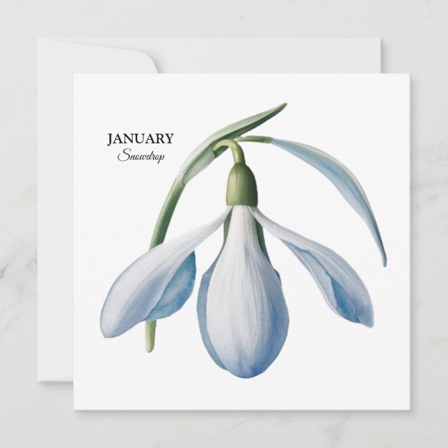 Januar Snowdrop Bloom - Personalisiertes Geschenk Ankündigung (Vorderseite)