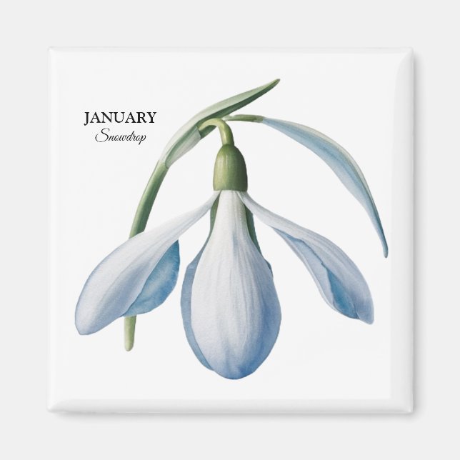 Januar Snowdrop Bloom - Personalisiertes Geschenk Magnet (Vorne)