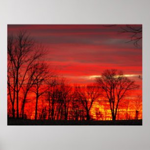 Januar Sunset Poster