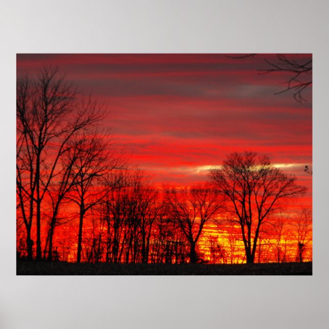 Januar Sunset Poster (Vorne)