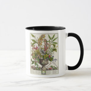 Januar, vom ` zwölf Monate Blumen Tasse