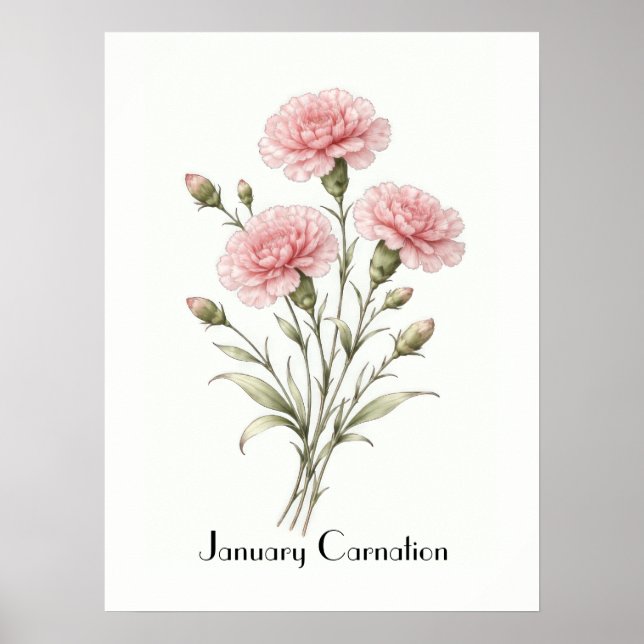January Carnation Flowers Poster (Vorne)