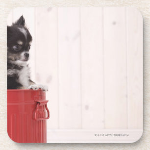 Japan 4 getränkeuntersetzer