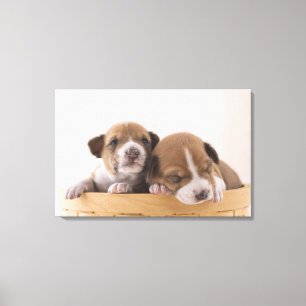 Japan 5 leinwanddruck