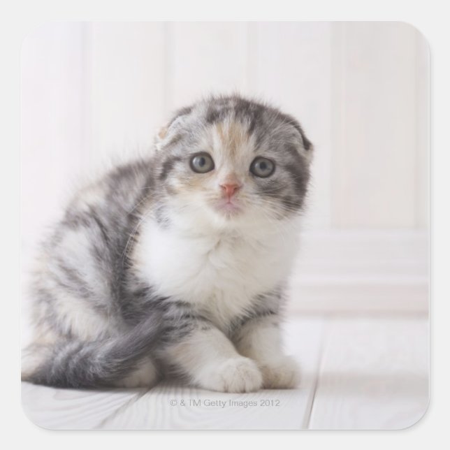 Japan 5 quadratischer aufkleber (Vorderseite)