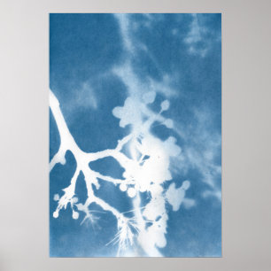Japan Cherry Blossom Cyanotype Vintag Inspiriert Poster