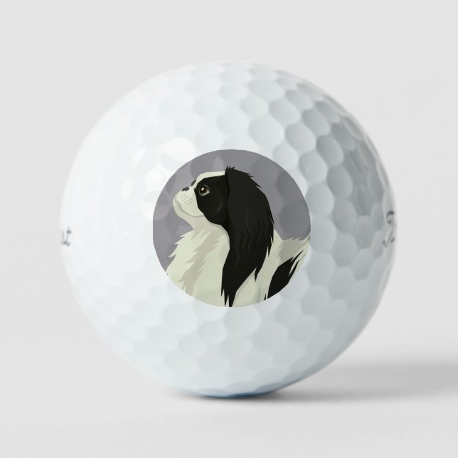 Japan Chin Golfball (Vorderseite)