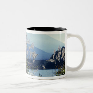 Japan, Honshu, Präfektur Yamanashi, Fuji-Hakone-Iz Zweifarbige Tasse
