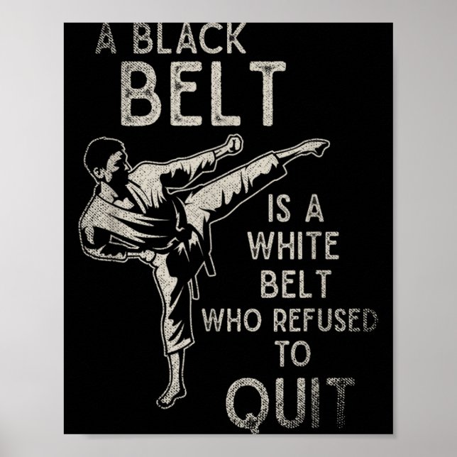 Japan Kampfsport Sparring Ninja Schwarzgurt Poster (Vorne)