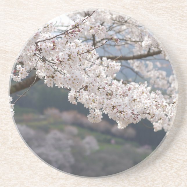 Japan Kumamoto Cherry Blossom Sandstein Untersetzer (Vorne)