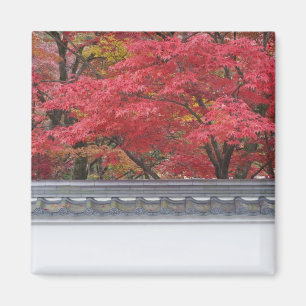 Japan, Kyoto, Autumn Color at Eikando Temple Magnet