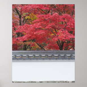 Japan, Kyoto, Herbstfarbe beim Eikando-Tempel Poster