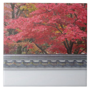 Japan, Kyoto, Herbstfarben im Eikando-Tempel Fliese