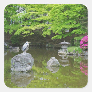 Japan, Kyoto. Heron in frischen grünen Blätter Quadratischer Aufkleber