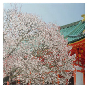 Japan, Kyoto. Kirschblüte des Shinto Fliese