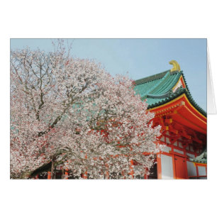 Japan, Kyoto. Kirschblüte von Shinto