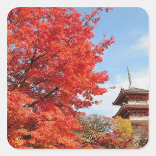 Japan, Kyoto. Kiyomizu-Tempel in Herbstfarbe Quadratischer Aufkleber