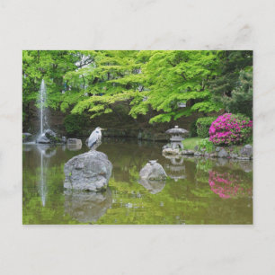 Japan, Kyoto. Reiher in frischen grünen Blättern Postkarte