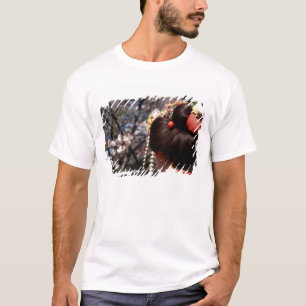 Japan, Kyoto. Rückansicht Nahaufnahme einer Geisha T-Shirt