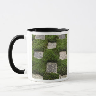 Japan, Kyoto, Tofukuji-Tempel, Garten Tasse