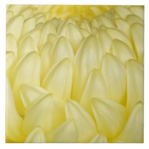 Japan, Mie, Ise-Schrein, Chrysantheme Fliese
