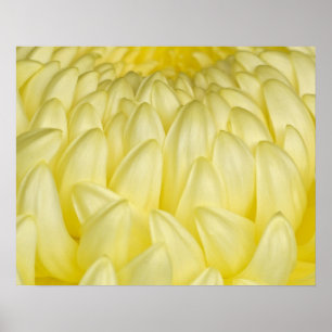 Japan, Mie, Ise-Schrein, Chrysantheme Poster