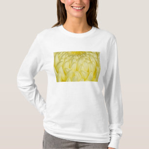 Japan, Mie, Ise-Schrein, Chrysantheme T-Shirt
