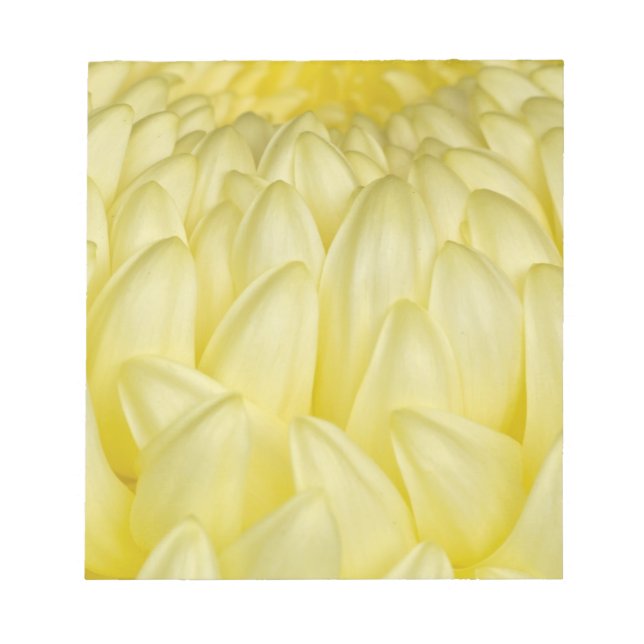 Japan, Mie, Shrine, Chrysanthemum Notizblock (Vorderseite)