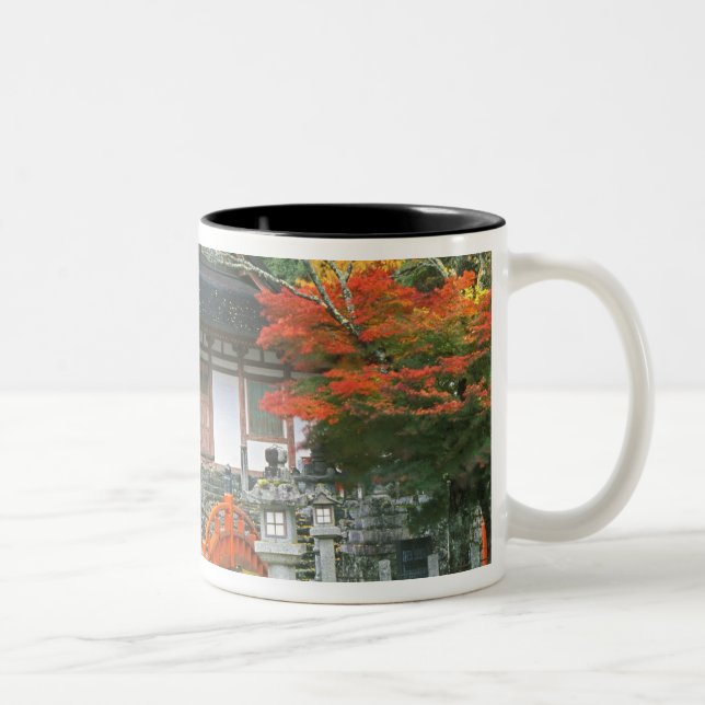 Japan, Nara, Ryuzenji Tempel Zweifarbige Tasse (Rechts)