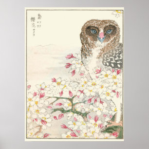 Japan Owl Vintag Poster